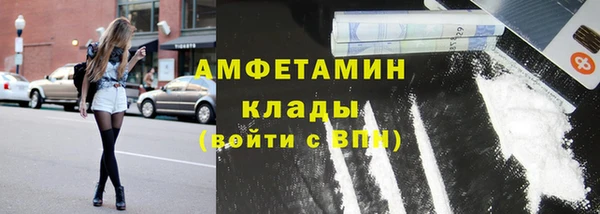 сатива Алзамай