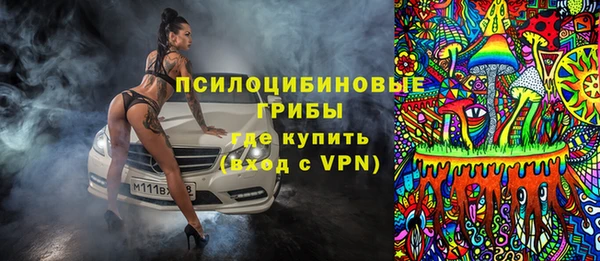 apvp Алексин
