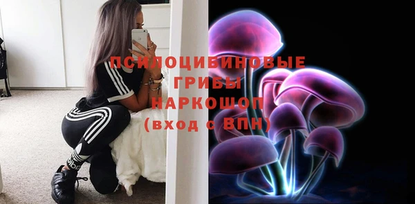 apvp Алексин
