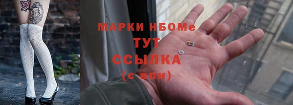 сатива Алзамай
