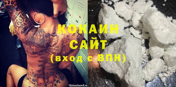 apvp Алексин